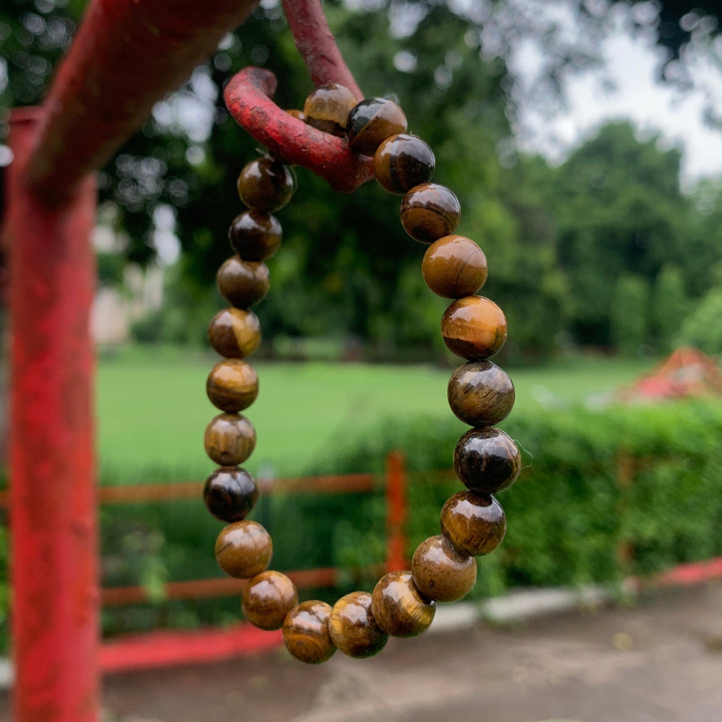 Tiger Eye
